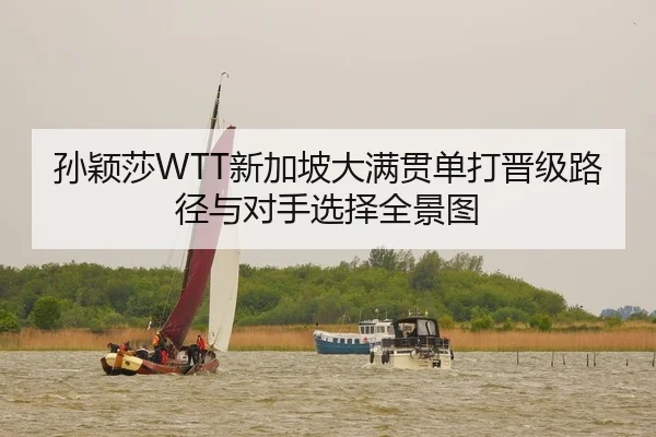 孙颖莎WTT新加坡大满贯单打晋级路径与对手选择全景图